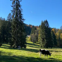 Les Cerlatez Nature Reserve - Le Noirmont