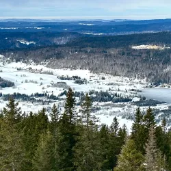 Nearby Saignelégier - Le Noirmont