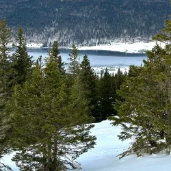 Nearby Saignelégier - Le Noirmont