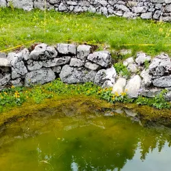 Nearby Saignelégier - Le Noirmont