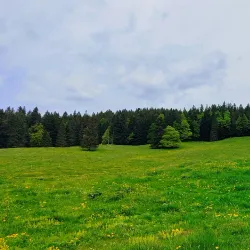 Nearby Saignelégier - Le Noirmont