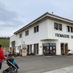 Regional Cheese Farms - Le Noirmont