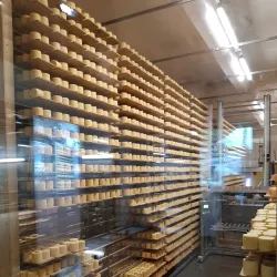 Regional Cheese Farms - Le Noirmont