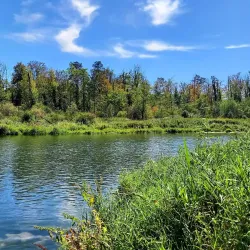 Aare River Walks - Lenzburg