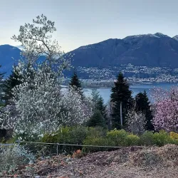Gambarogno Regional Park - Locarno