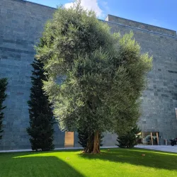 Museo d'Arte della Svizzera Italiana (MASI) - Lugano