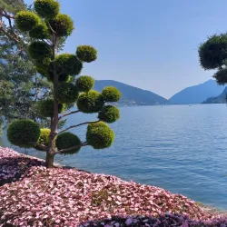 Parco Ciani - Lugano