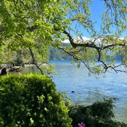 Villa Ciani - Lugano