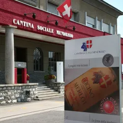 Cantine Mendrisio - Mendrisio