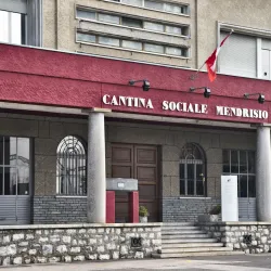 Cantine Mendrisio - Mendrisio