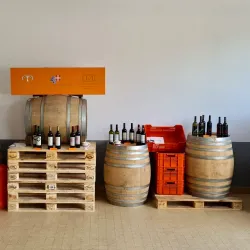 Cantine Mendrisio - Mendrisio