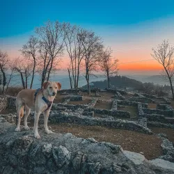 Castello di Mendrisio - Mendrisio