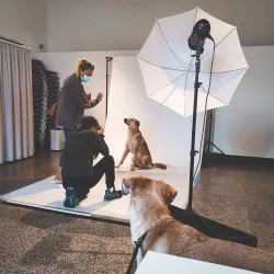 Museo Etnografico della Svizzera Italiana - Mendrisio