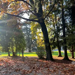Villa Argentina - Mendrisio