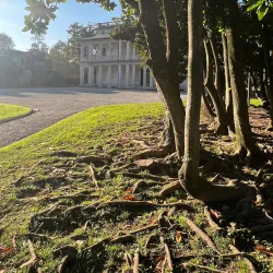 Villa Argentina - Mendrisio