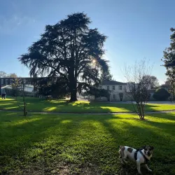 Villa Argentina - Mendrisio