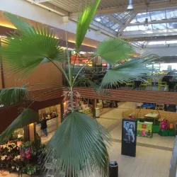 Centre Commercial de Meyrin - Meyrin