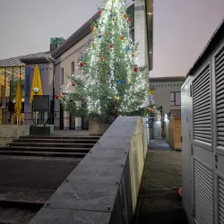 Meyrin Cultural Center (Centre Culturel de Meyrin) - Meyrin