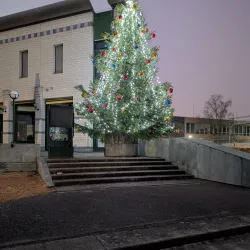 Meyrin Cultural Center (Centre Culturel de Meyrin) - Meyrin