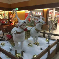 Meyrin Market - Meyrin