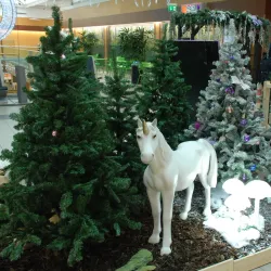 Meyrin Market - Meyrin