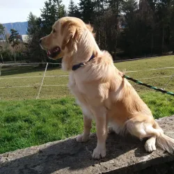 Parc de la Mairie - Meyrin