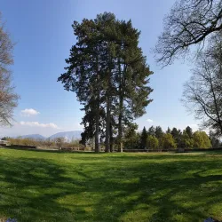 Parc de la Mairie - Meyrin