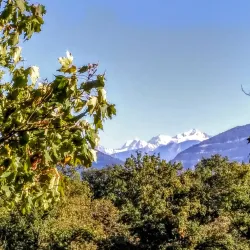 Parc de la Mairie - Meyrin