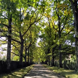Parc de la Mairie - Meyrin