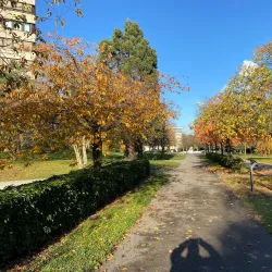 Parc des Franchises - Meyrin