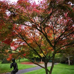 Parc des Franchises - Meyrin