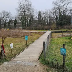 Parc des Franchises - Meyrin