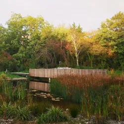 Parc des Franchises - Meyrin