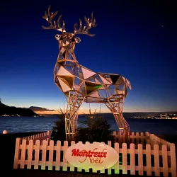 Freddie Mercury Statue - Montreux