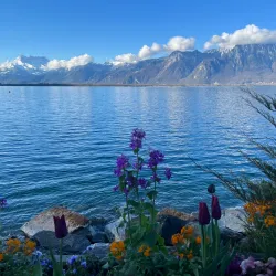 Montreux Lakeside Promenade - Montreux