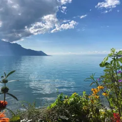 Montreux Lakeside Promenade - Montreux