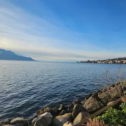 Montreux Lakeside Promenade - Montreux