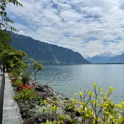 Montreux Lakeside Promenade - Montreux