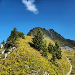 Rochers-de-Naye - Montreux
