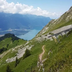 Rochers-de-Naye - Montreux