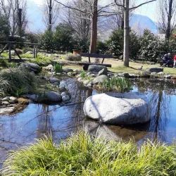 Parco delle Camelie - Muralto