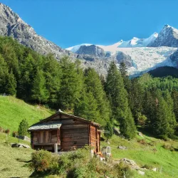 Ried Glacier Trail - Naters