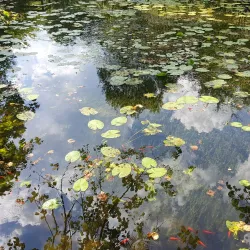 Botanical Garden of Neuchâtel - Neuchatel