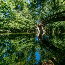 Lake Neuchâtel Promenade - Neuchatel