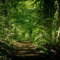 Lake Neuchâtel Promenade - Neuchatel