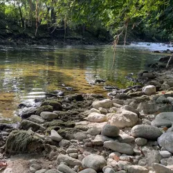 Lake Neuchâtel Promenade - Neuchatel