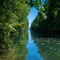 Lake Neuchâtel Promenade - Neuchatel
