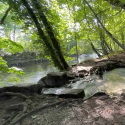 Lake Neuchâtel Promenade - Neuchatel
