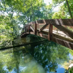Lake Neuchâtel Promenade - Neuchatel