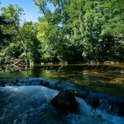 Lake Neuchâtel Promenade - Neuchatel